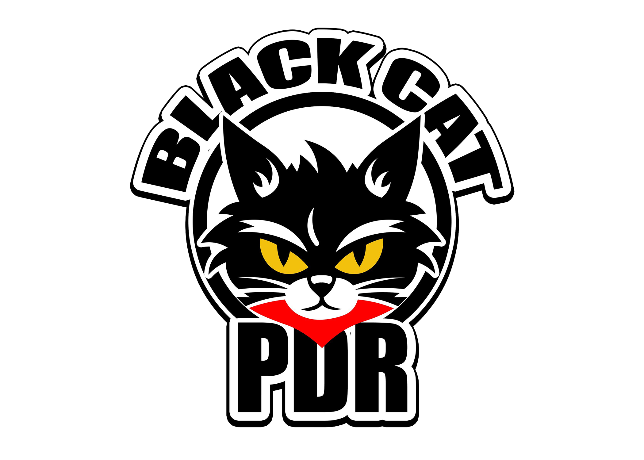Black Cat Racing